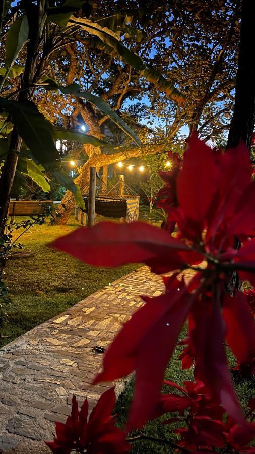 Inn Adega Cipo